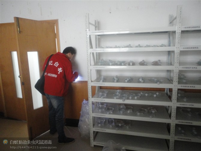 瀏陽康源制藥白蟻治理