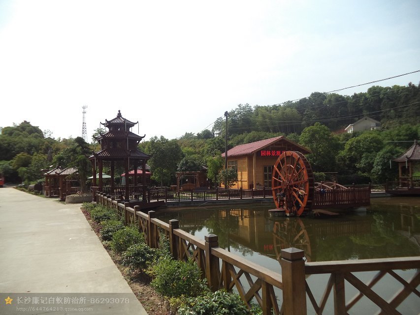 園林景觀