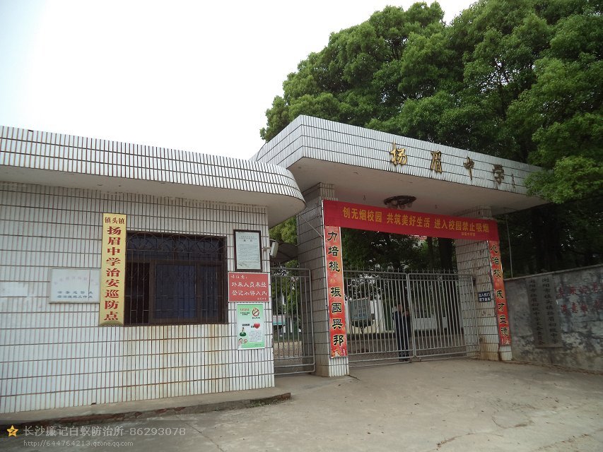揚眉中學