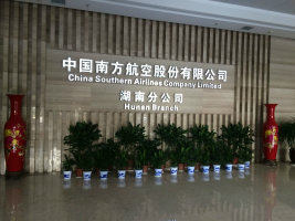 中國南方航空